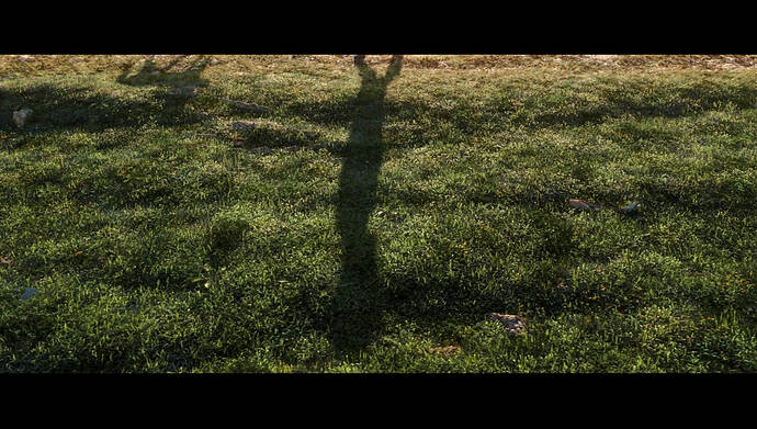 vlcsnap-2018-02-18-13h07m27s300