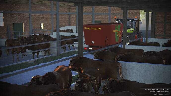 cattle-and-crops-bulls