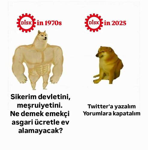 n6xy9gznp09e1