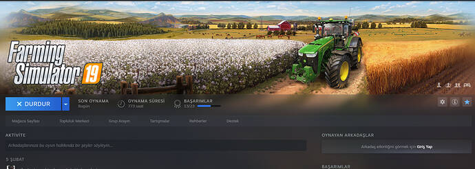 FS 19 Multiplayer 
