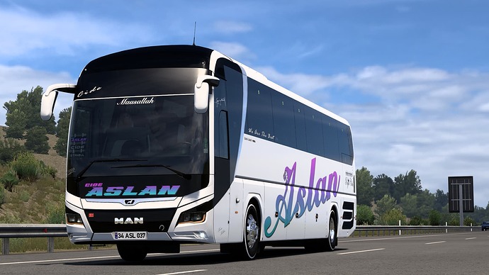 ets2_20260612_174358_00
