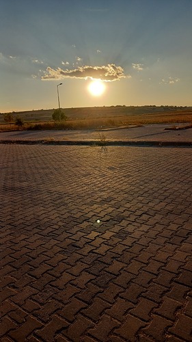 1000063648