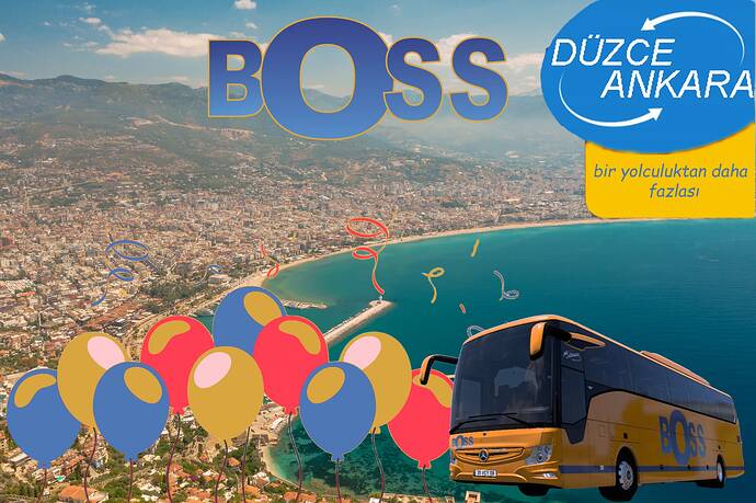 boss düzce