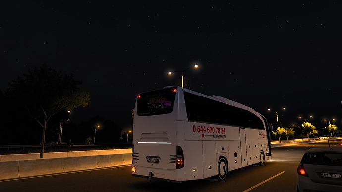 ets2_20251111_234835_00