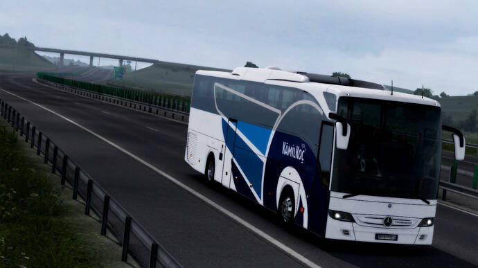 ets2_20201120_233606_00 (1)