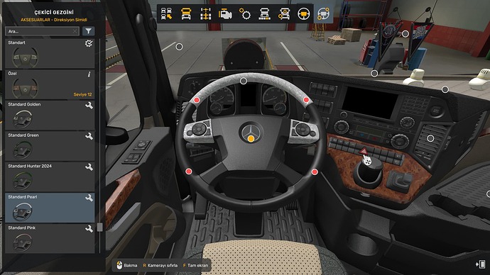 ets2_20260630_221652_00