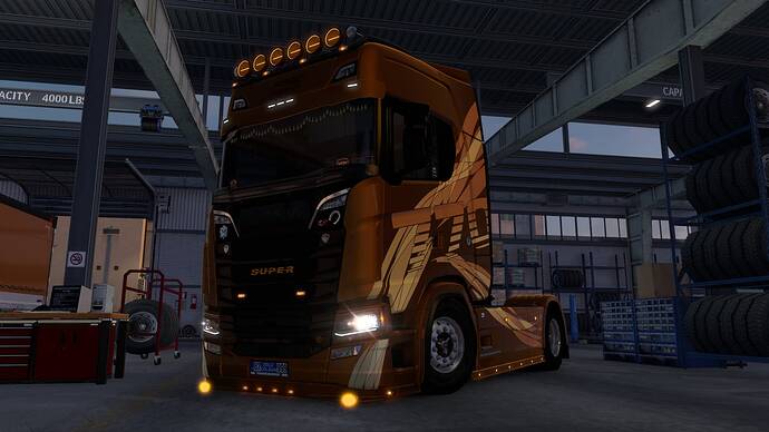 ets2_20250808_210658_00