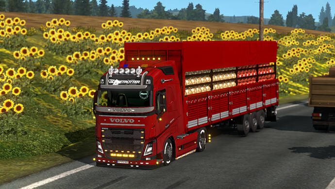ets2_20190301_233628_00