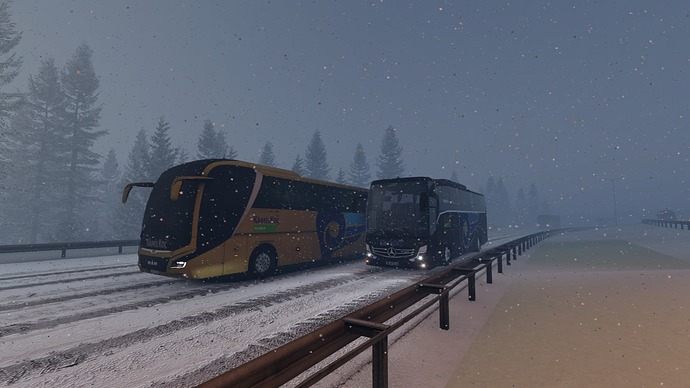 ets2_20260118_115147_00