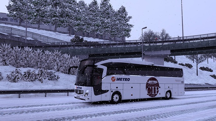 eurotrucks2 2026-01-11 14-25-56_506