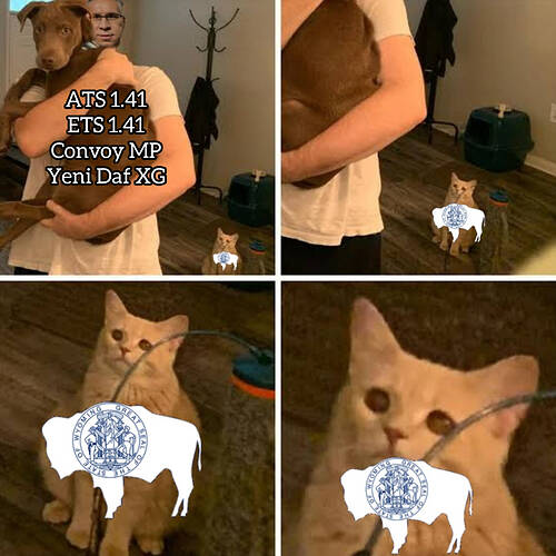 scsiçinhaziranayıkısaözet