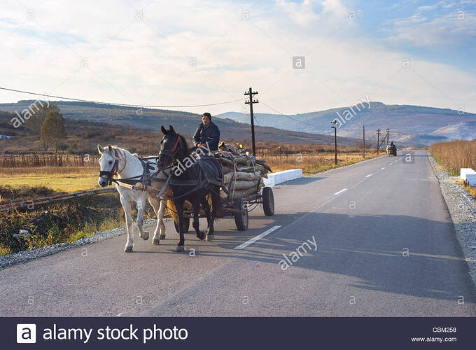 man-driving-horse-cart-by-the-country-road-horse-cart-on-romanian-CBM258
