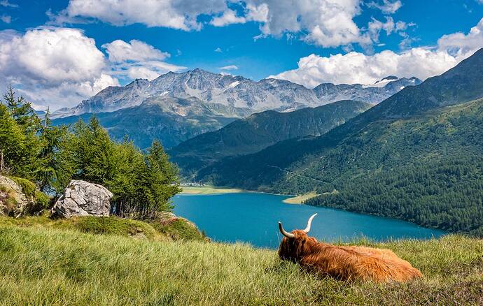 lake-5534341_1920