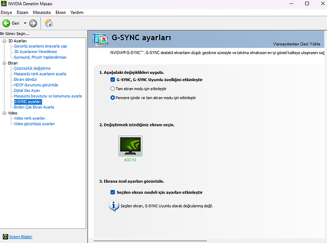 Ekran görüntüsü 2026-01-19 014244