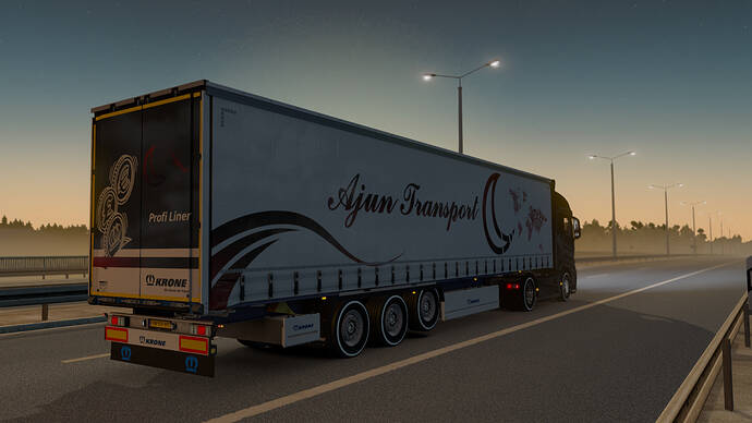 ets2_20191110_234104_00