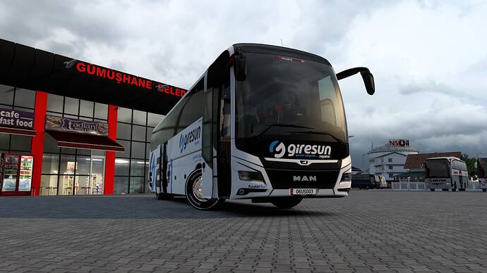 ets2_20250603_201017_00