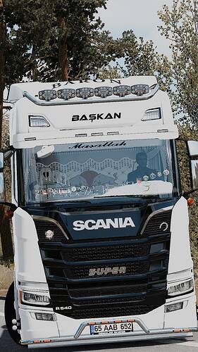 eurotrucks2 2025-05-24 12-36-44_532