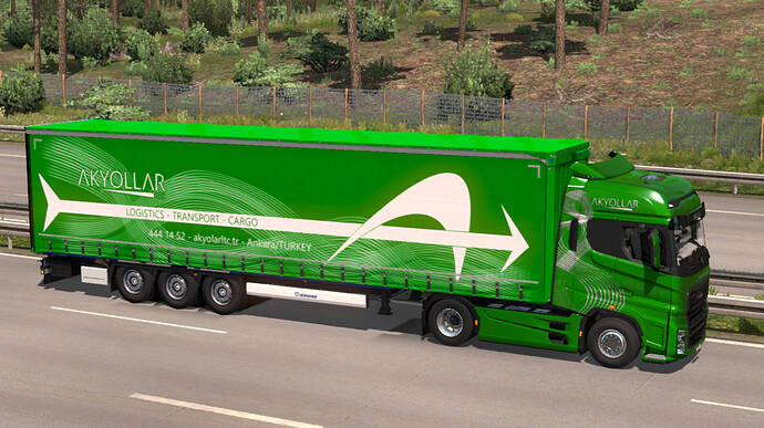 ets2_20191112_223411_00