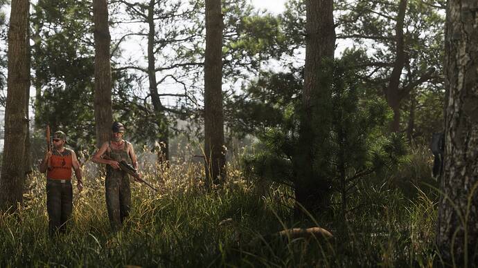 Mount_Kalaga_National_Park_03.a841c296