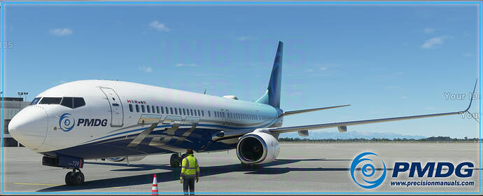 PMDG 737NG3-microsoft-flight-simulator-4