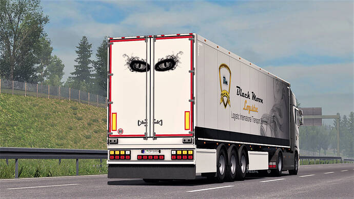 eurotrucks2%202019-04-04%2001-50-50